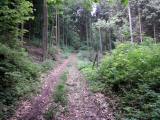  Wanderweg bergan nach Albrechtsberg 
