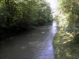  Blick auf die "Kleine Erlauf" flussaufwrts 