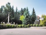  schne Skulpturen in Bodensdorf 