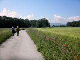  ebener Wanderweg 