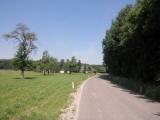  Blick zur Gehftgruppe Holzhuseln 