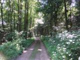  schner Wanderweg 