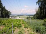  schner Fernblick nach Unterned 