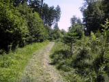  schner ausgemhter Wanderweg 