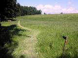  schner ausgemhter Wanderweg 