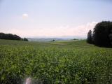  schner Fernblick 