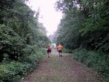  Wanderweg durch die Traisenau 