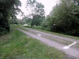  Wanderroute weiter entlang der Traisen 