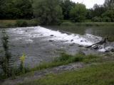  Wehr in der Traisen 
