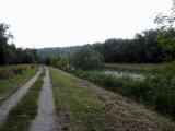  Wanderweg entlang der Traisen 