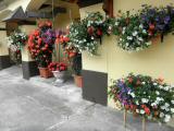  Heuriger und Blumenhof Kerschner 