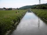  Blick auf den Traisenkanal 
