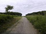  leicht bergan 