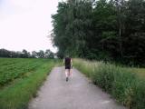  Wanderweg auf der Anhhe Hhnerbhel 