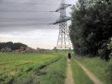  Wanderweg auf der Anhhe Hhnerbhel 