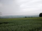  schner Fernblick von der Anhhe 