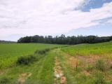  Wanderweg leicht bergan 