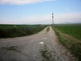  Wanderweg auf der kleinen Anhhe 