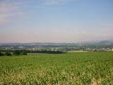schner Fernblick nach Pottenbrunn und nach Herzogenburg 