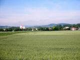  Blick nach St. Andr a.d. Traisen 