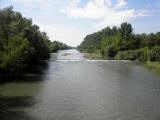 Blick vom Traisensteg flussaufwrts 
