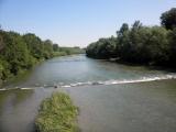  Blick vom Traisensteg flussabwrts 