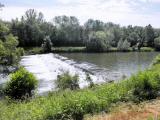  Wehr in der Traisen 