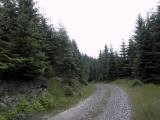  schner Waldwanderweg 