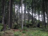  Blick zur Saubergwand 