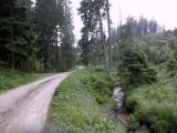  schner Waldwanderweg 