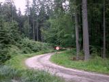  Blick zur SK 