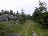  schner Waldwanderweg 
