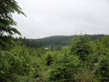  Fernblick zum Hubertusteich 