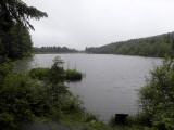  Blick auf den Schlesingerteich 