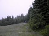  Wanderweg ber den Hirschberg 