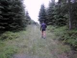  schner Waldwanderweg nach Brnkopf 