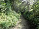  Wanderweg durch den Zwischengraben 