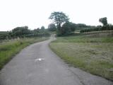 Wanderweg durch die Rieden des Jungbergs 