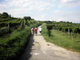  Wanderweg zum Geiberg 