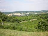  Fernblick nach Glaubendorf 