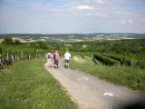  Wanderweg durch die Weinrieden 