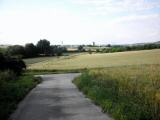  Wanderweg Richtung Ziersdorf 