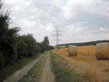  Wanderweg entlang des Windschutzgrtel 