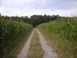  Wanderweg zur Hubertuskapelle 