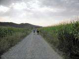  Wanderroute durch die Riede Langfeld 