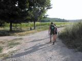  Wanderroute durch die Riede Weingartfeld 