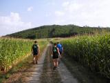  Wanderroute durch die Riede Weingartfeld 
