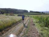  Wanderroute durch die Riede Weingartfeld 