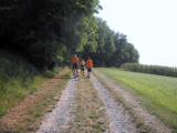  Wanderweg entlang des Weikirchfeld 