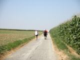  Wanderroute wieder zurck nach Obermiesting 